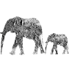 elephants