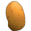 Kartoffel / Potato