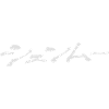 Shenmue Japanese Logo