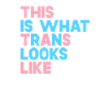 So sieht Trans aus