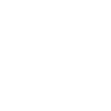 Dronen Evolution