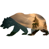 Bear Forest Nature - Gift