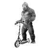 Scooter électrique E-Scooter idée cadeau