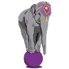 Circus Elephant