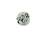 Wolf moon Mond