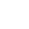 Steini all in