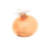 onion