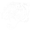 White Tiger