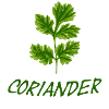Koriander mit Schriftzug