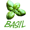 Basil with lettering