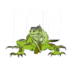 Leguan Iguana