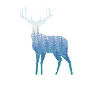 Elch Wald