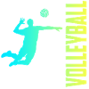 volley-ball