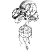PeacockTree