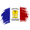 Yellow vest ... France