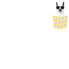 lama
