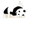 Sleeping Panda