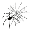 cobweb