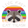 Retro Waschbär