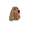 cocker chien cadeau chien chiot