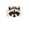 raccoon
