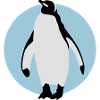 pinguin_032013_b_3c