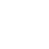 An eagle chasing its prey
