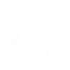 Zodiac sign Cancer