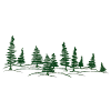 Tannenwald