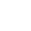 Dart