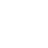 automobile