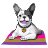French Bulldog French Bully Gift