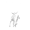 Equestrian vaulting gift
