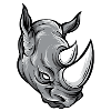 Rino / Rhino