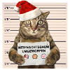 Chat de noel