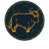 T-shirt de vache écossaise