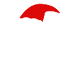 cat has xmas