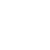 Chihuahua Mama