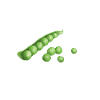 Peas out sorella divertente pisello vegano regalo
