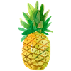 Pineapple brush
