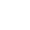 Evolution Ski