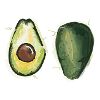 avocado