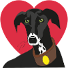 Galgo with heart