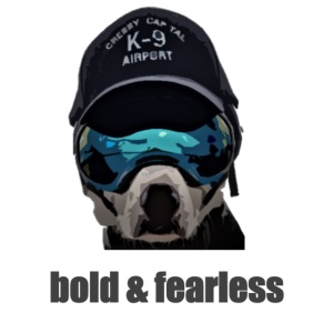 bold & fearless
