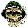Kiff Skull