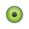 eye