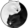 Yin Yang kitten (sleeping)