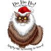 Angry looking Santa Cat
