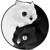 Yin Yang kitten