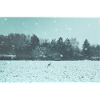 Winter Wonderland